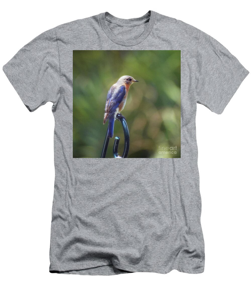 Animals T-Shirt featuring the photograph Mother Bluebird by Skip Willits