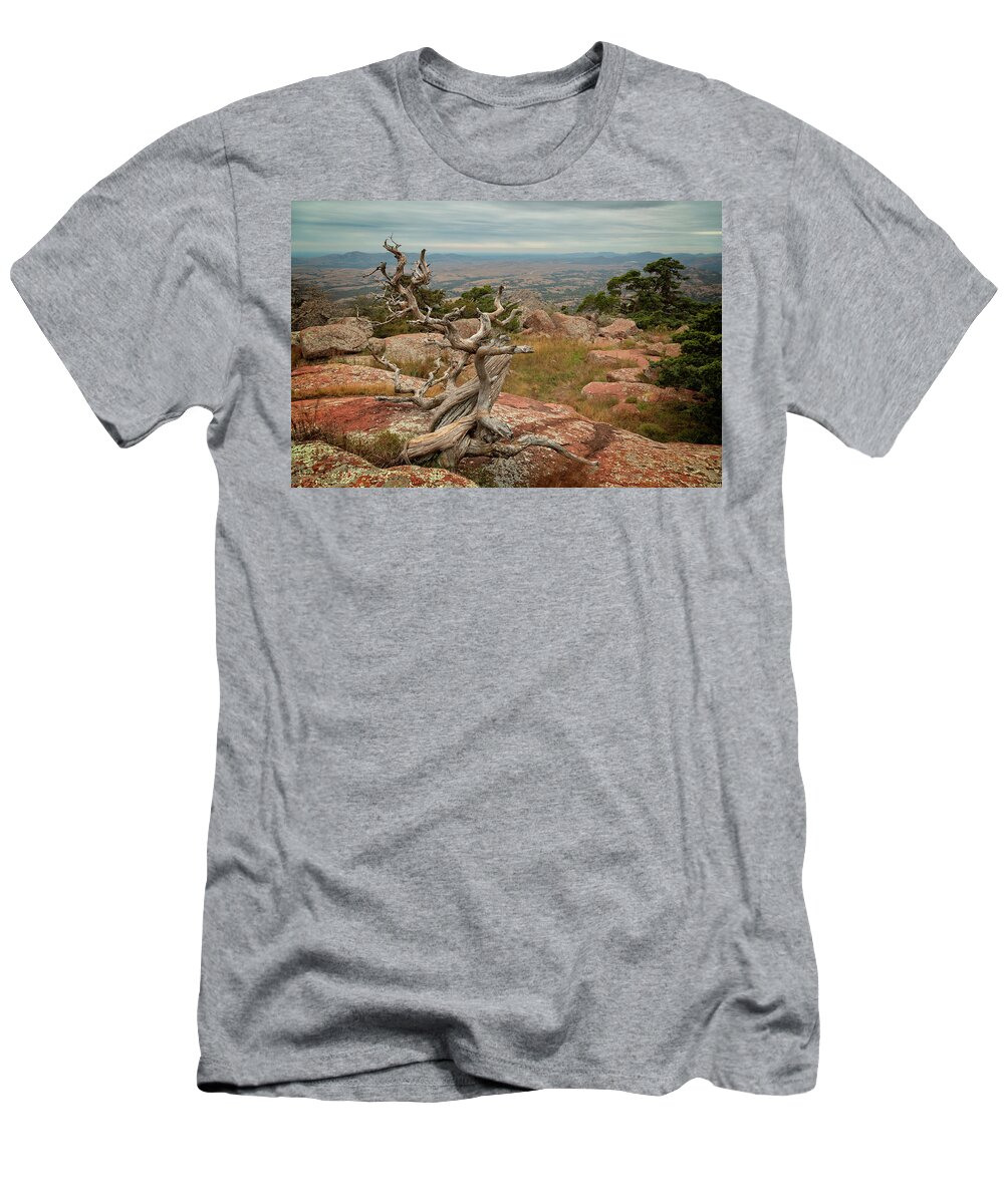 Mountain T-Shirt featuring the photograph Mount Scott View IV by Ricky Barnard