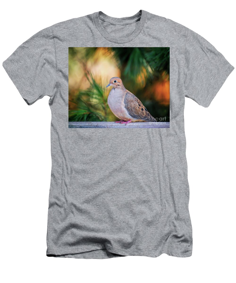 Dove T-Shirt featuring the photograph Mourning Dove Bathed in Autumn Light by Kerri Farley of New River Nature