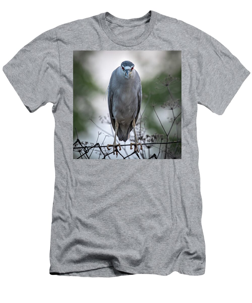 Bird T-Shirt featuring the photograph Move Along Droid by Mike Gifford