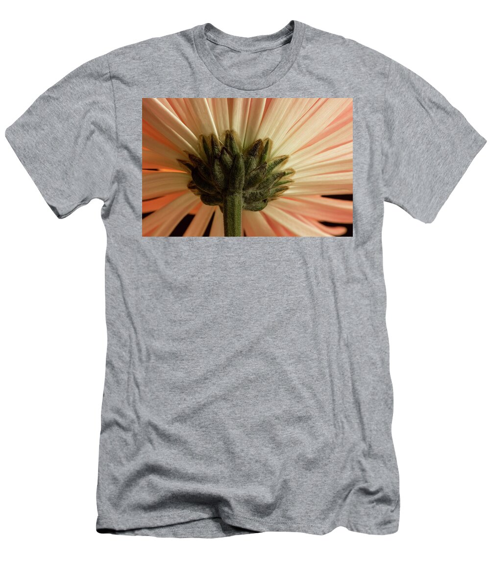 Mum T-Shirt featuring the photograph Mum from Below by Bob Cournoyer