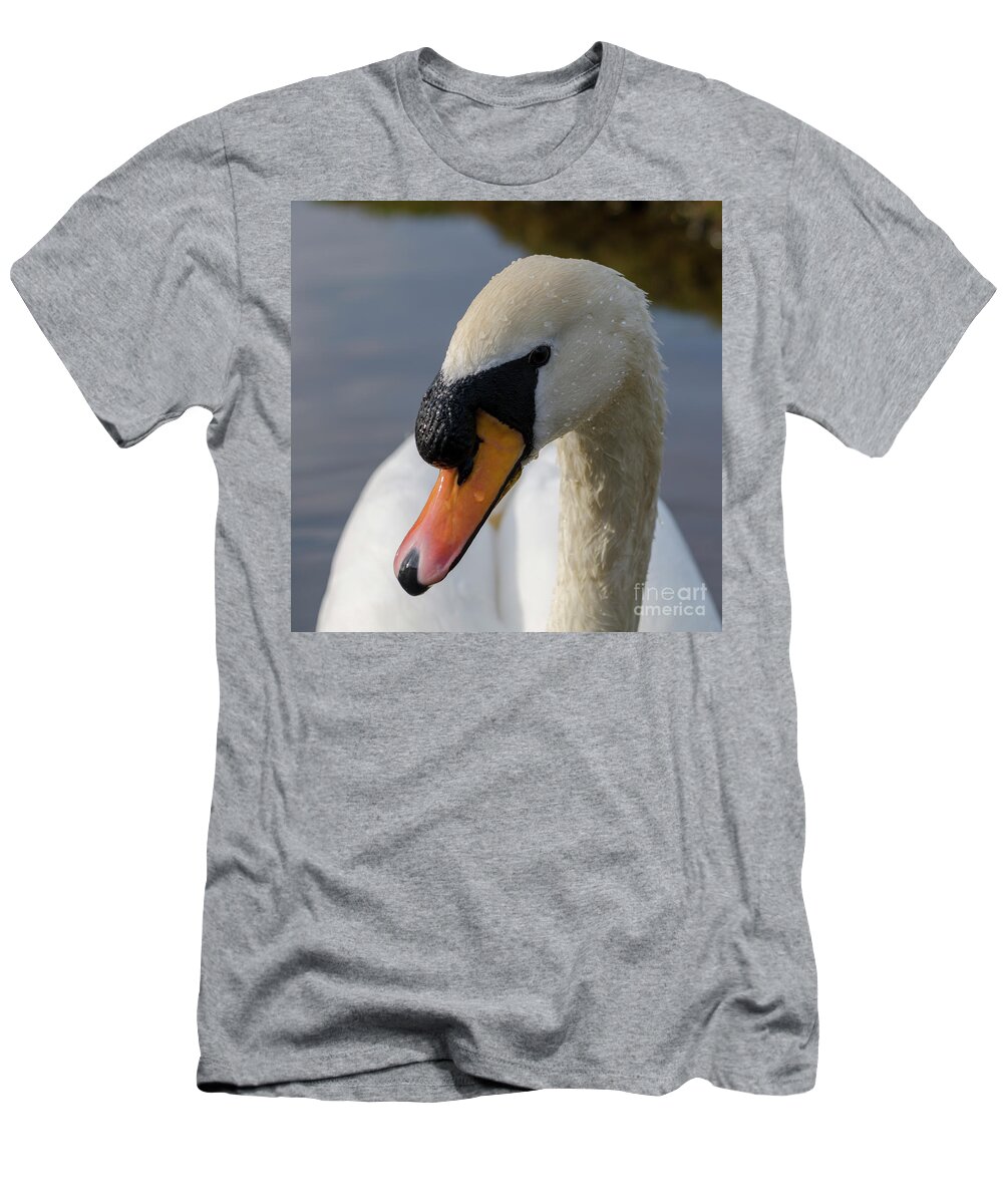 Swan T-Shirt featuring the photograph Mute swan cob by Steev Stamford