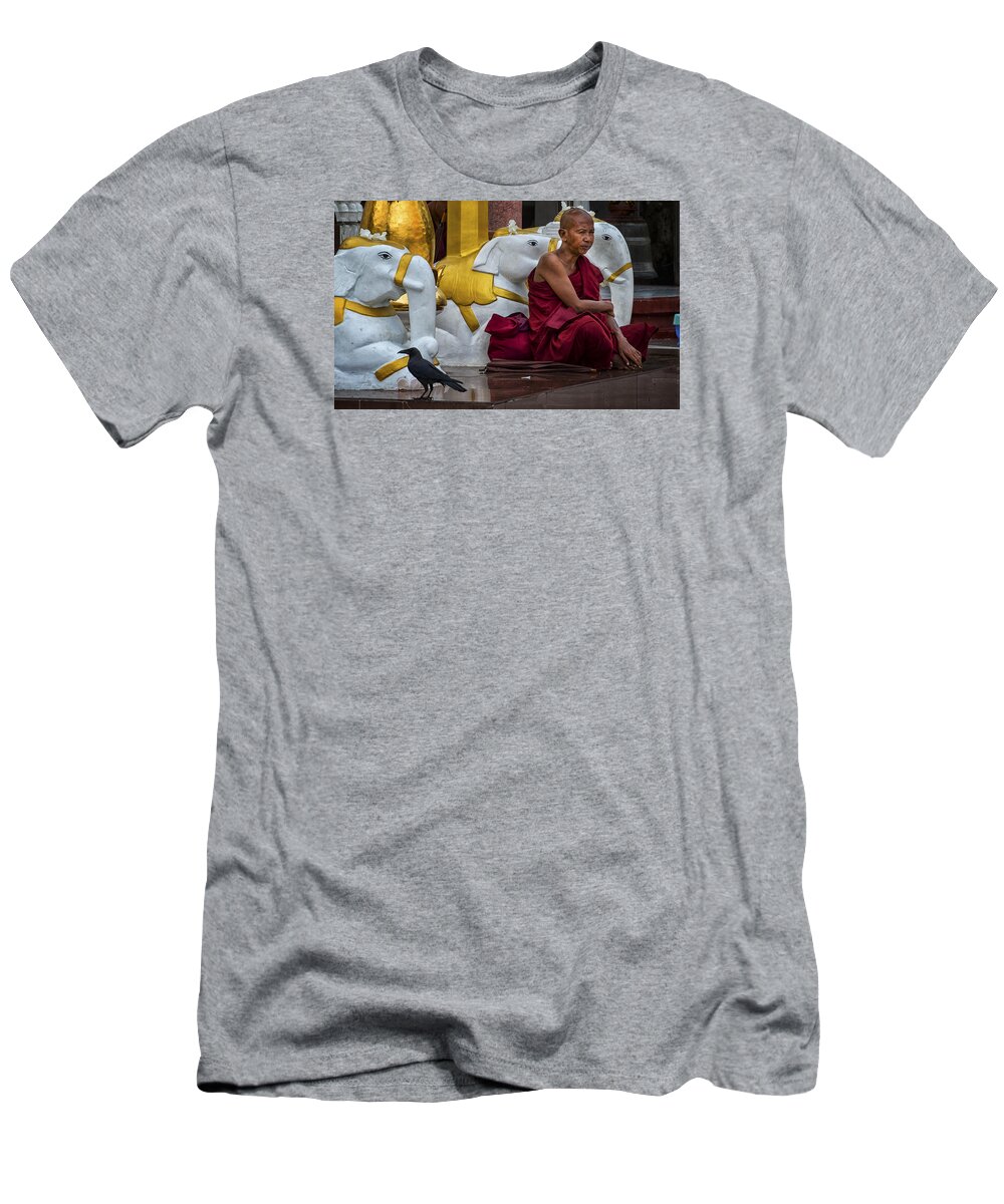 Southeast Asia T-Shirt featuring the photograph Myanmar Temple Elephants and Monk by David Longstreath