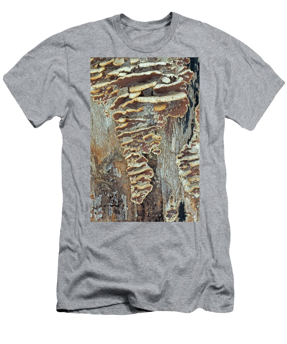 Bracket Fungi T-Shirt featuring the photograph Naturally Abstract by Jim Zablotny