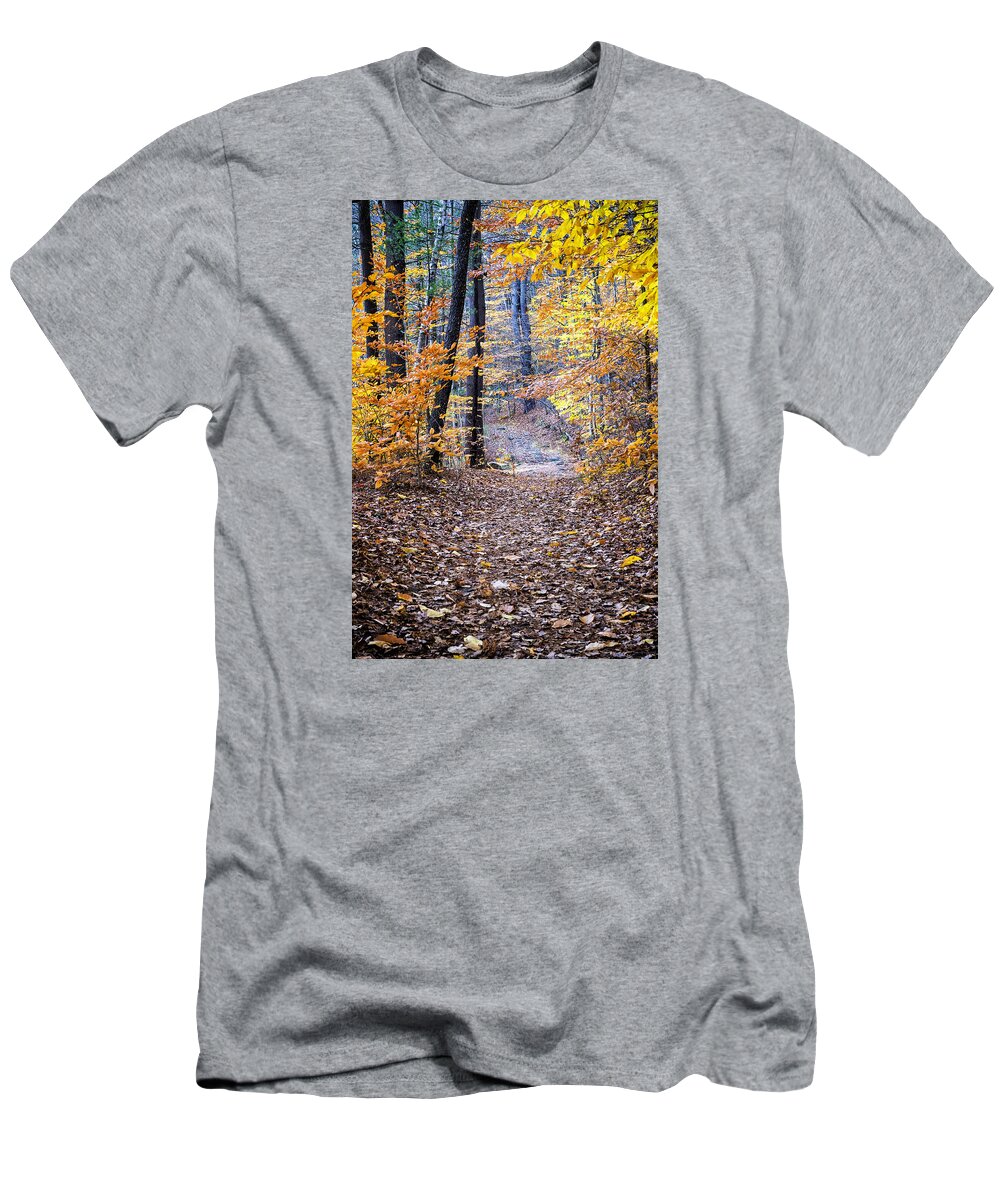 Gulf Road Waterfalls. Chesterfield New Hampshire T-Shirt featuring the photograph New Hampshire Woods by Tom Singleton