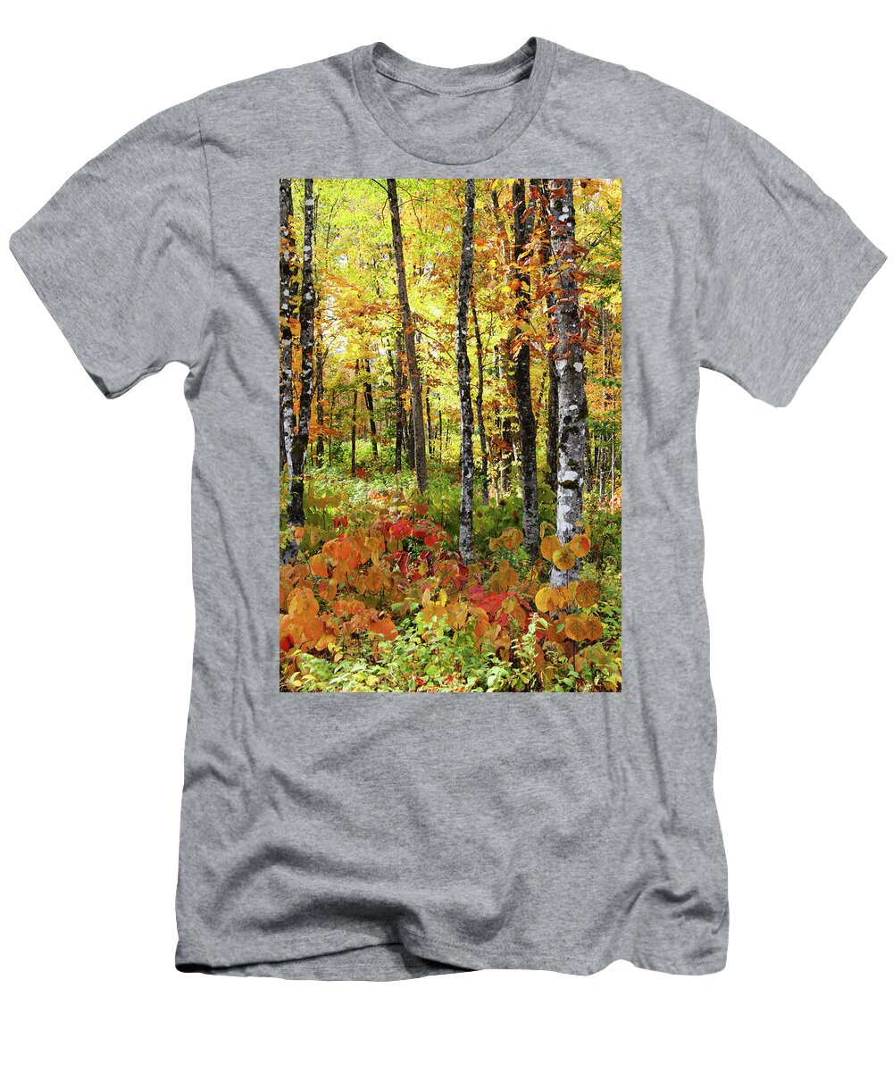 Photography T-Shirt featuring the photograph North Woods Trees #6 by Brett Pelletier