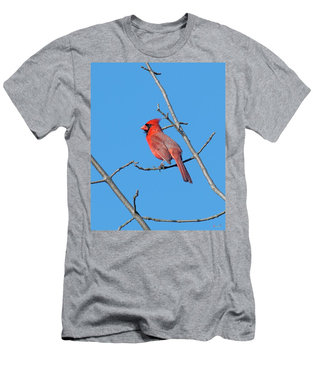Nature T-Shirt featuring the photograph Northern Cardinal DSB0272 by Gerry Gantt