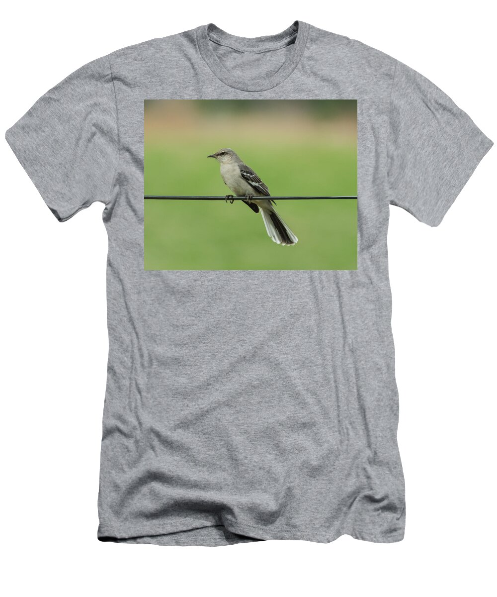 Bird T-Shirt featuring the photograph Northern Mockingbird by Holden The Moment
