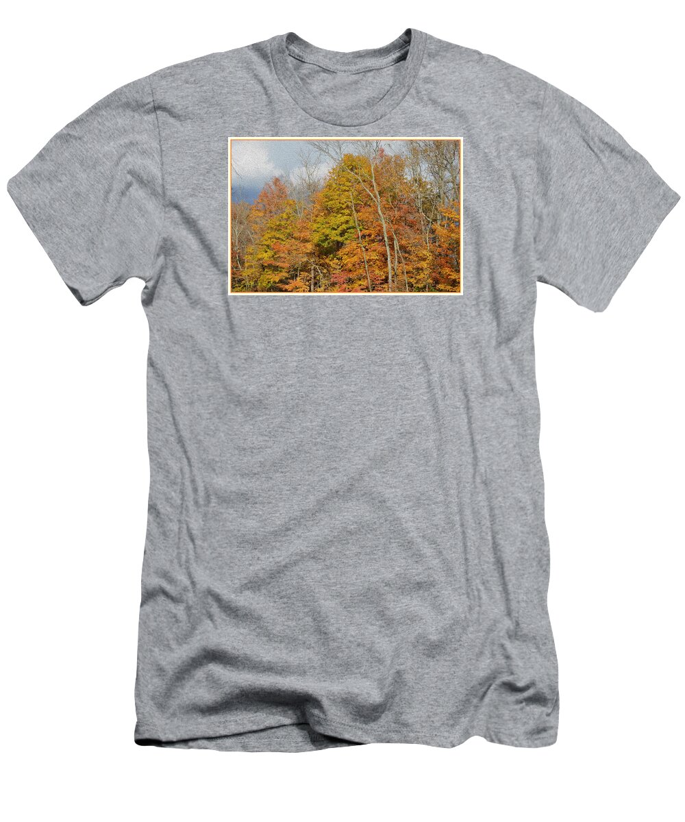  T-Shirt featuring the photograph November Colors by Sonali Gangane