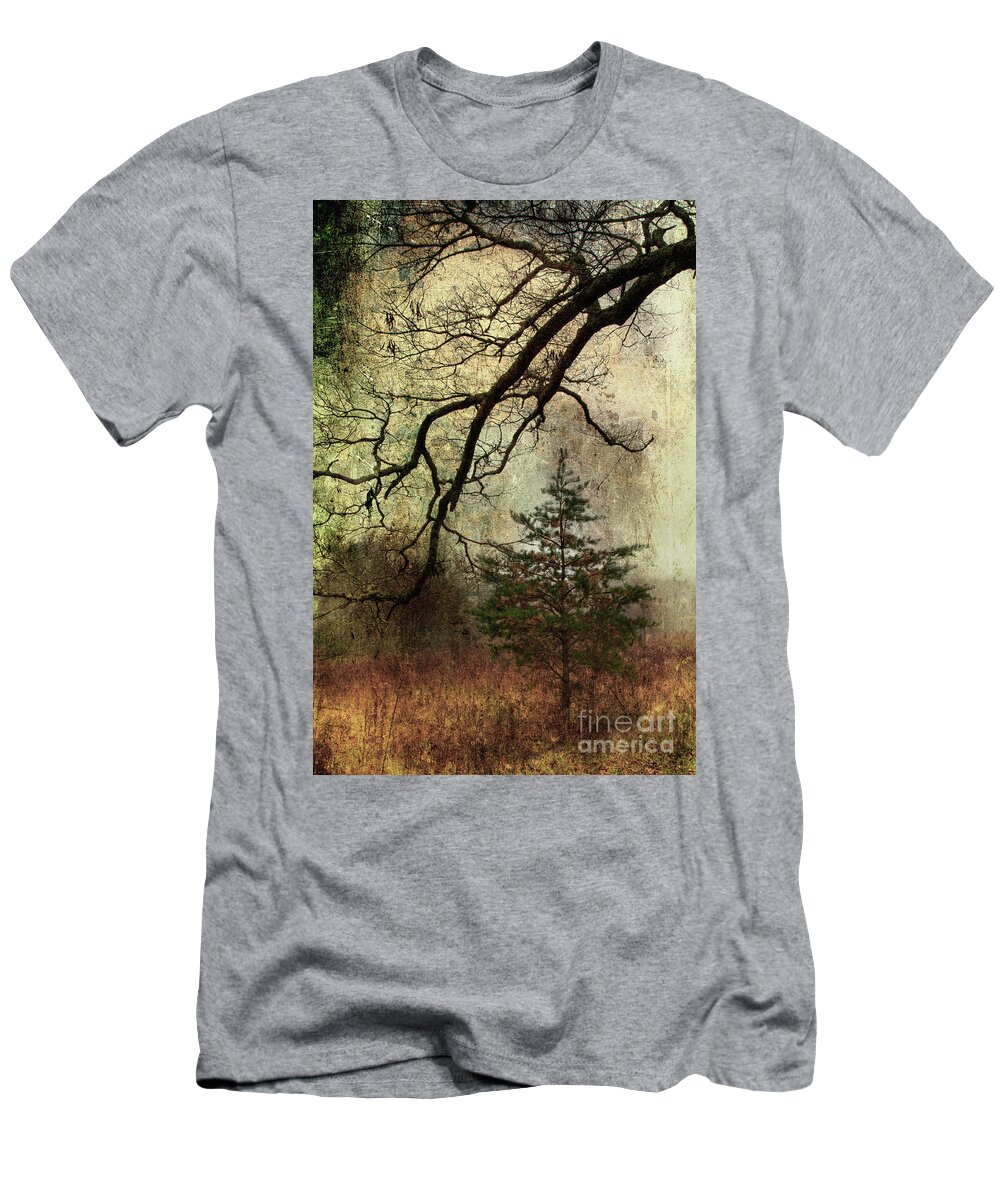 Pine Tree T-Shirt featuring the photograph November Mood by Michael Eingle