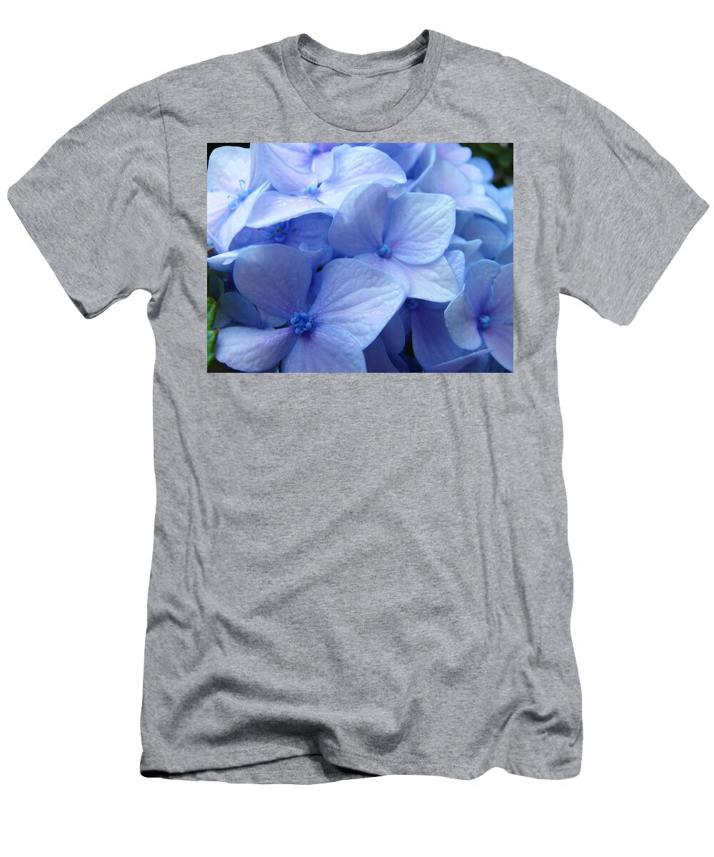 Hydrangea T-Shirt featuring the photograph OFFICE ART Prints Blue Hydrangea Flowers Giclee Baslee Troutman by Patti Baslee