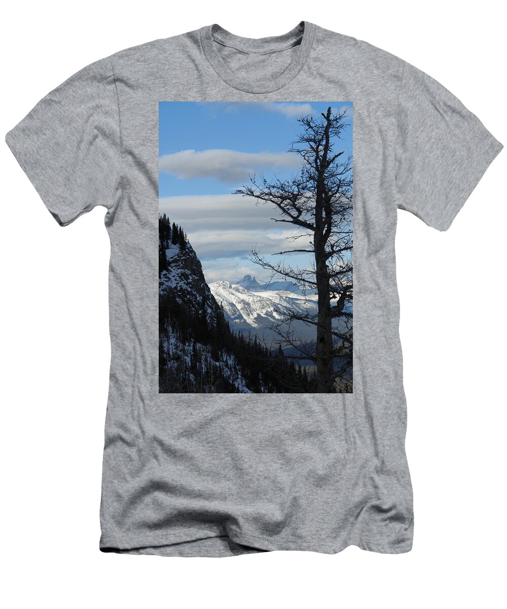 Old Larch Tree T-Shirt featuring the photograph Old Larch Tree Has Best View by Greg Hammond