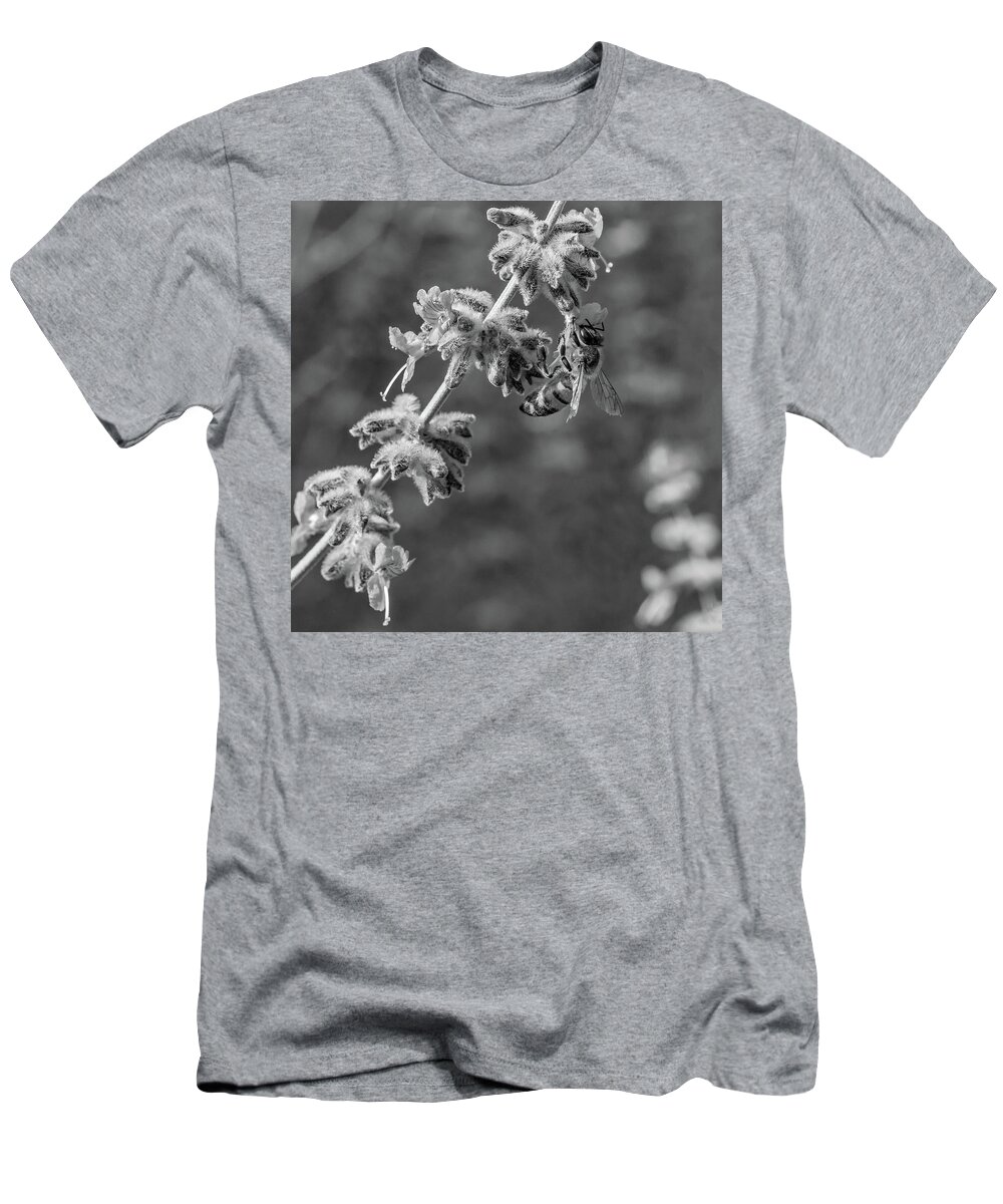 Steve Harrington T-Shirt featuring the photograph On A Lavender Evening 2 bw by Steve Harrington