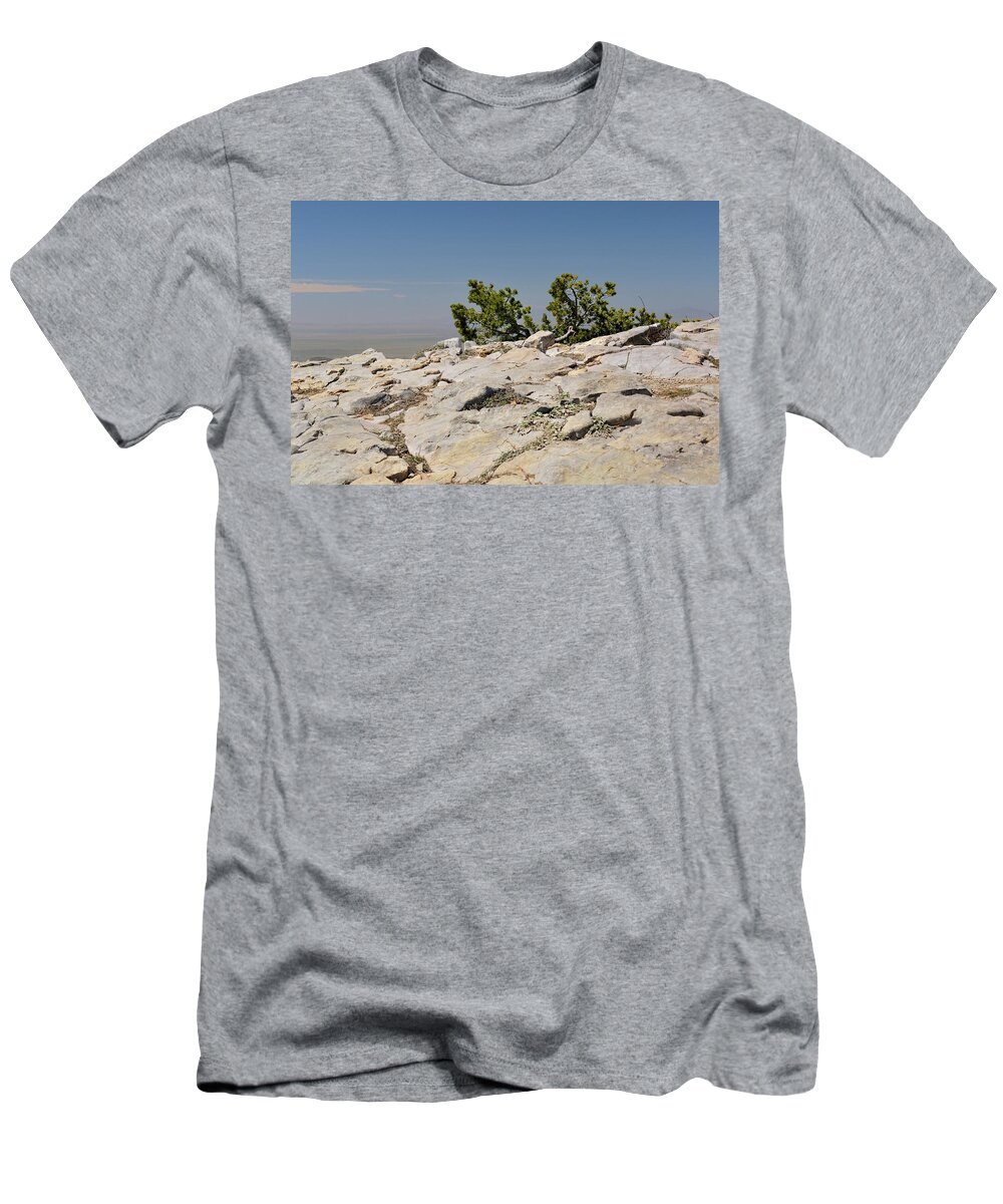 Landscape T-Shirt featuring the photograph On Top of Sandia Mountain by Ron Cline