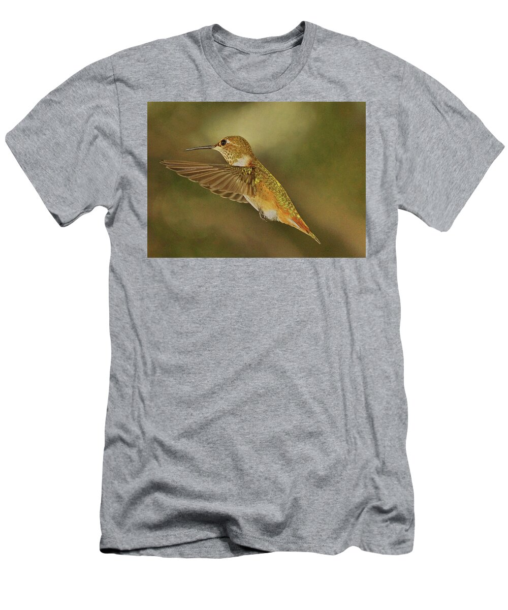 Rufous Hummingbird T-Shirt featuring the photograph Only for a Moment by Theo O'Connor