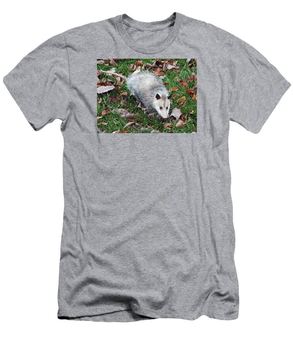 Animal T-Shirt featuring the photograph Opossum by Gina Fitzhugh