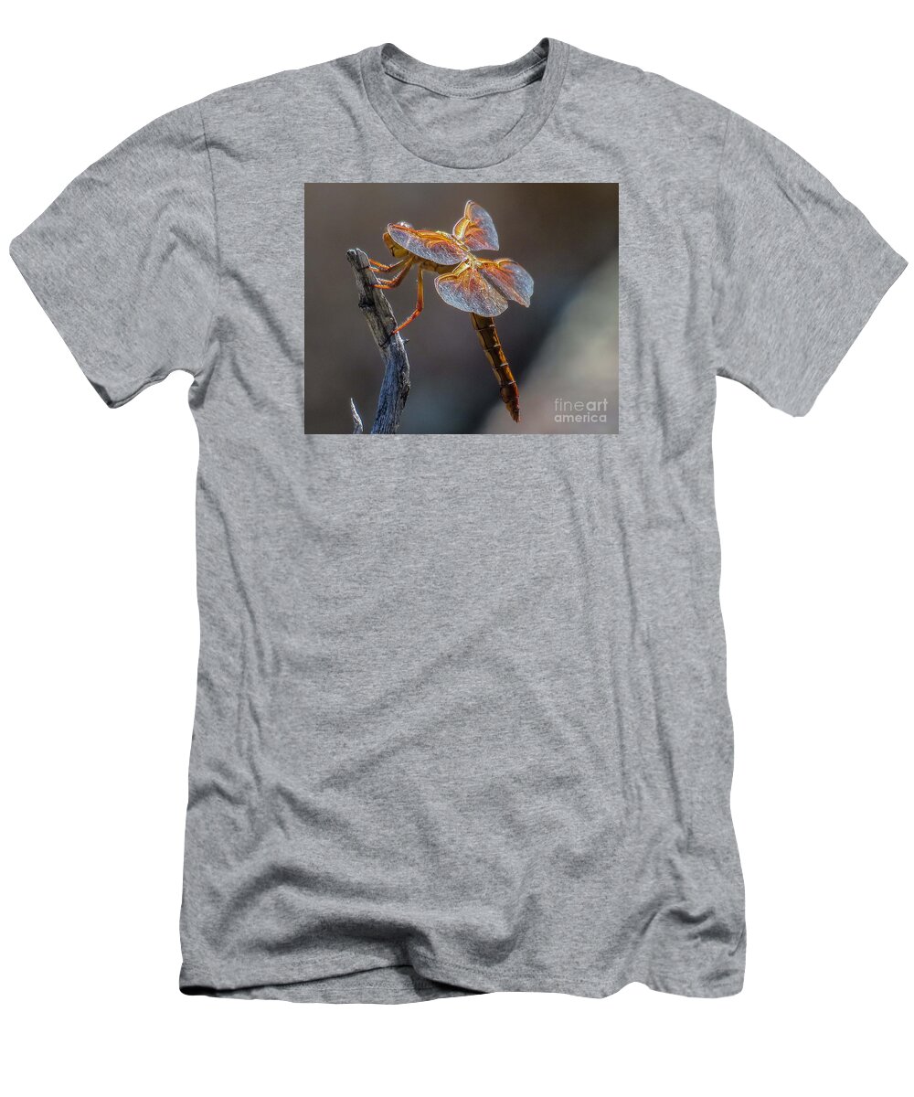 Nature T-Shirt featuring the photograph Dragonfly 2 by Christy Garavetto
