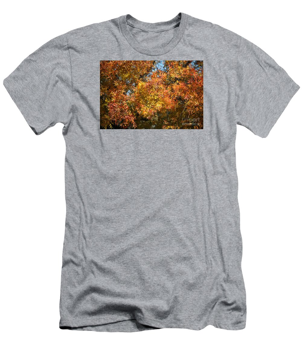 Nature T-Shirt featuring the photograph Orange Gold Autumn Leaves by Linda Phelps