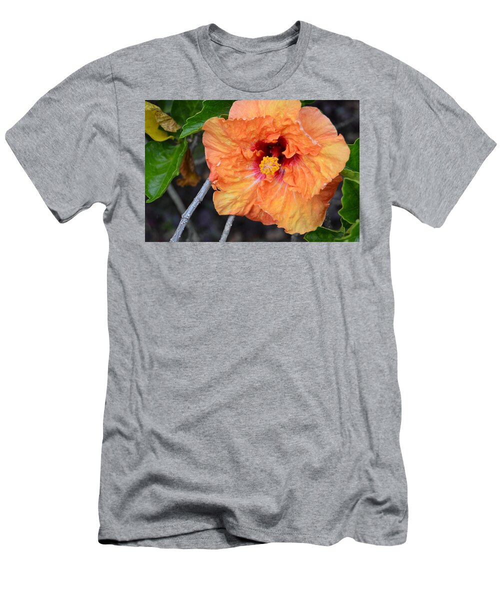 Flower T-Shirt featuring the photograph Orange Hibiscus with Ruffled Petals by Amy Fose