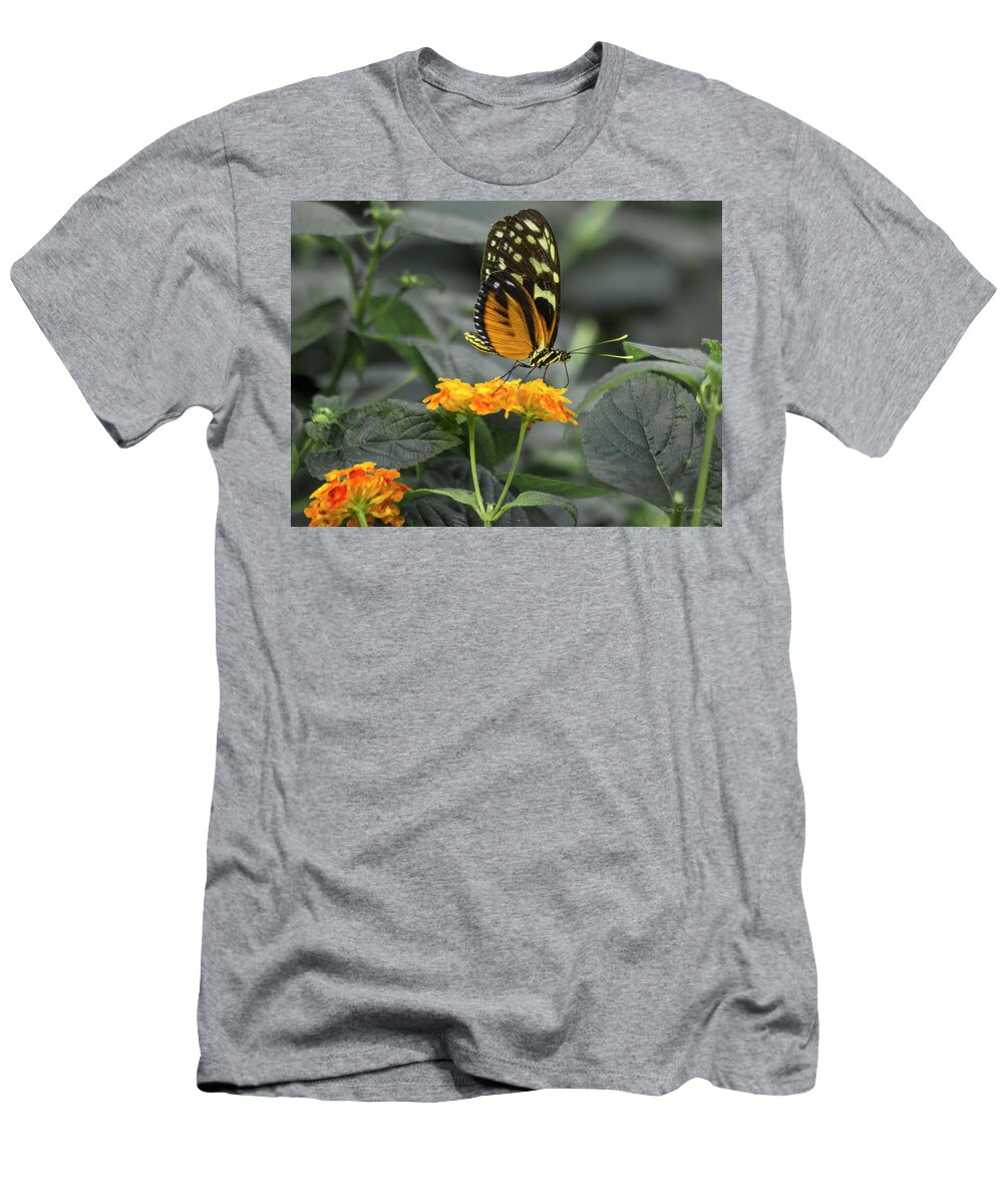 Butterfly T-Shirt featuring the photograph Orange You Beautiful by Betsy Knapp