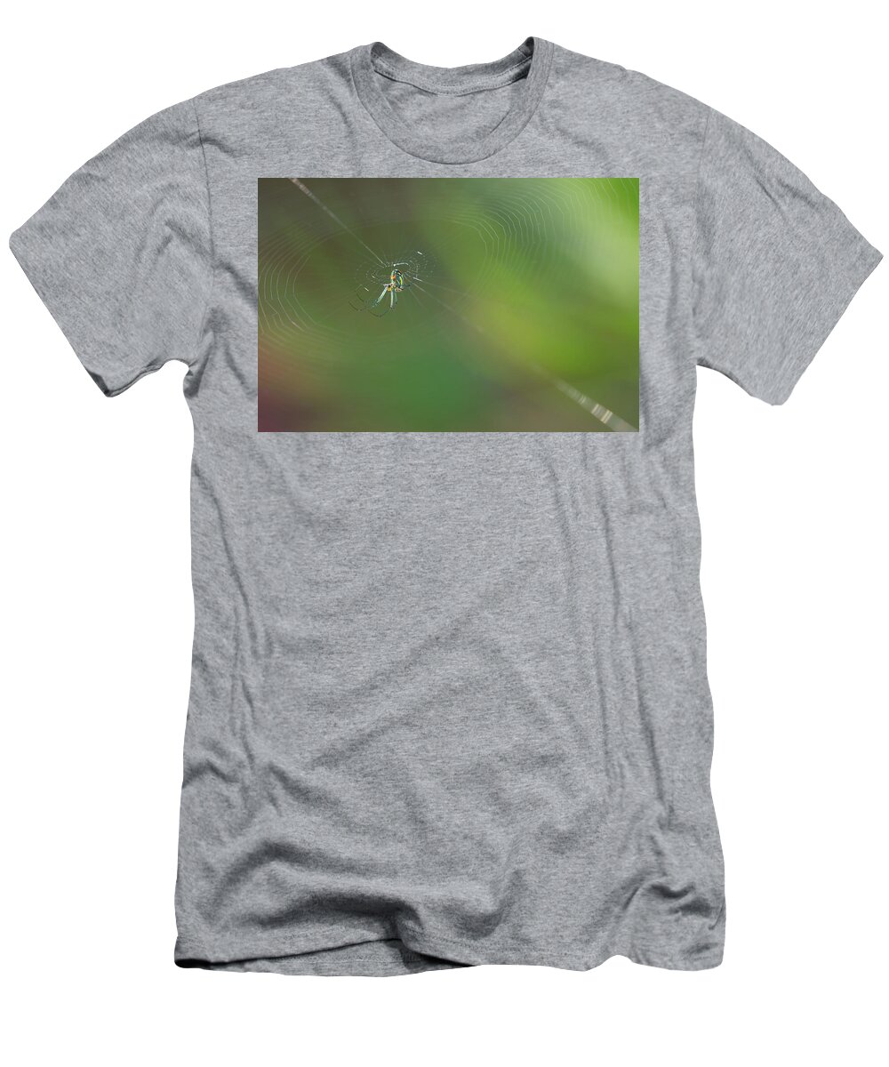 Spider T-Shirt featuring the photograph Orchard Orbweaver #3 by Paul Rebmann