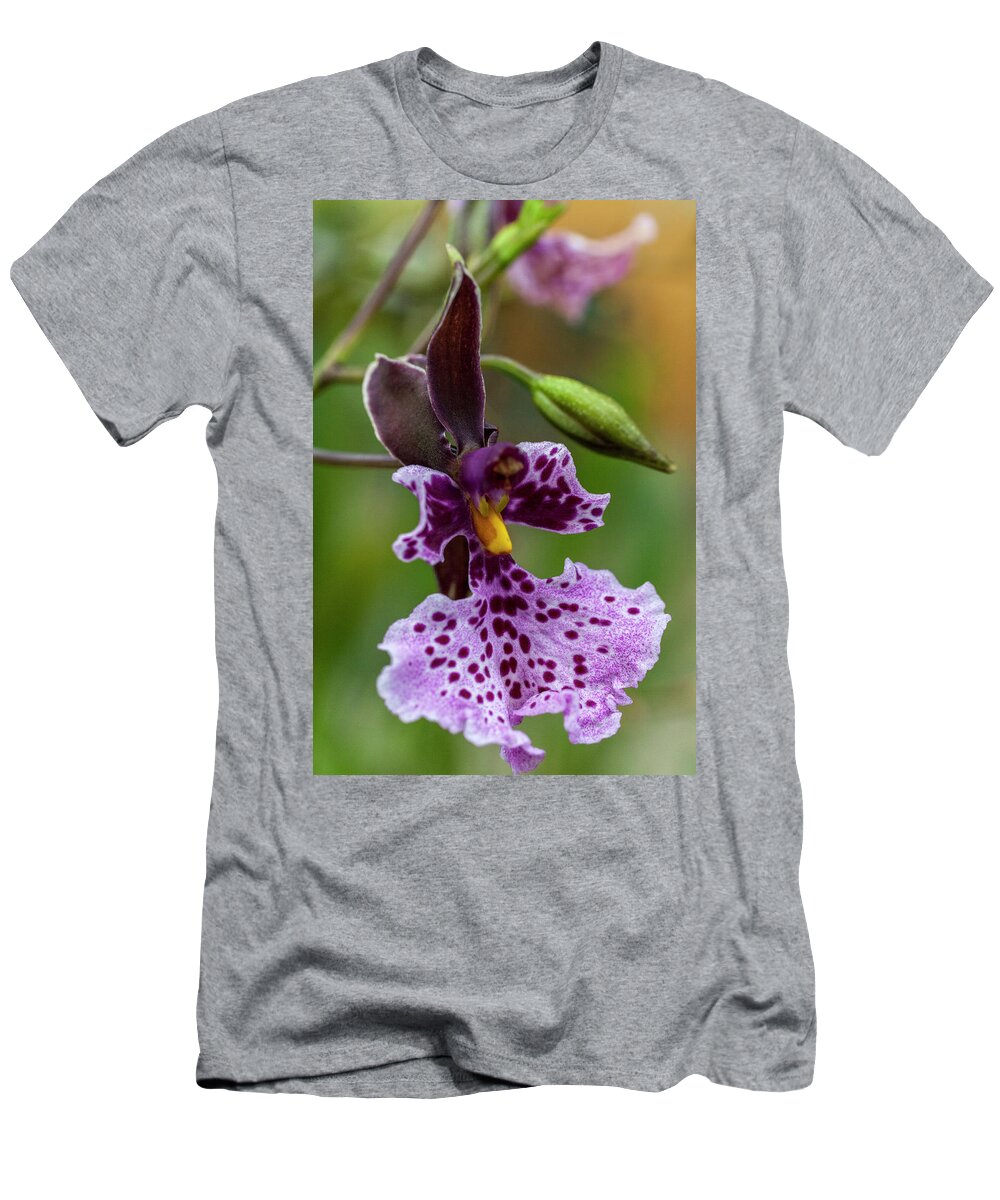 Orchid T-Shirt featuring the photograph Orchid - Caucaea rhodosticta by Heiko Koehrer-Wagner
