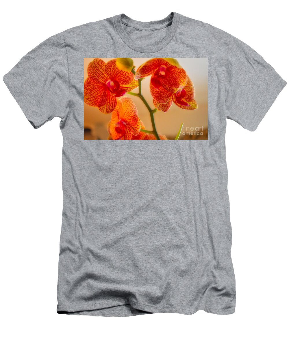 Orchid T-Shirt featuring the photograph Orchids by Karin Everhart
