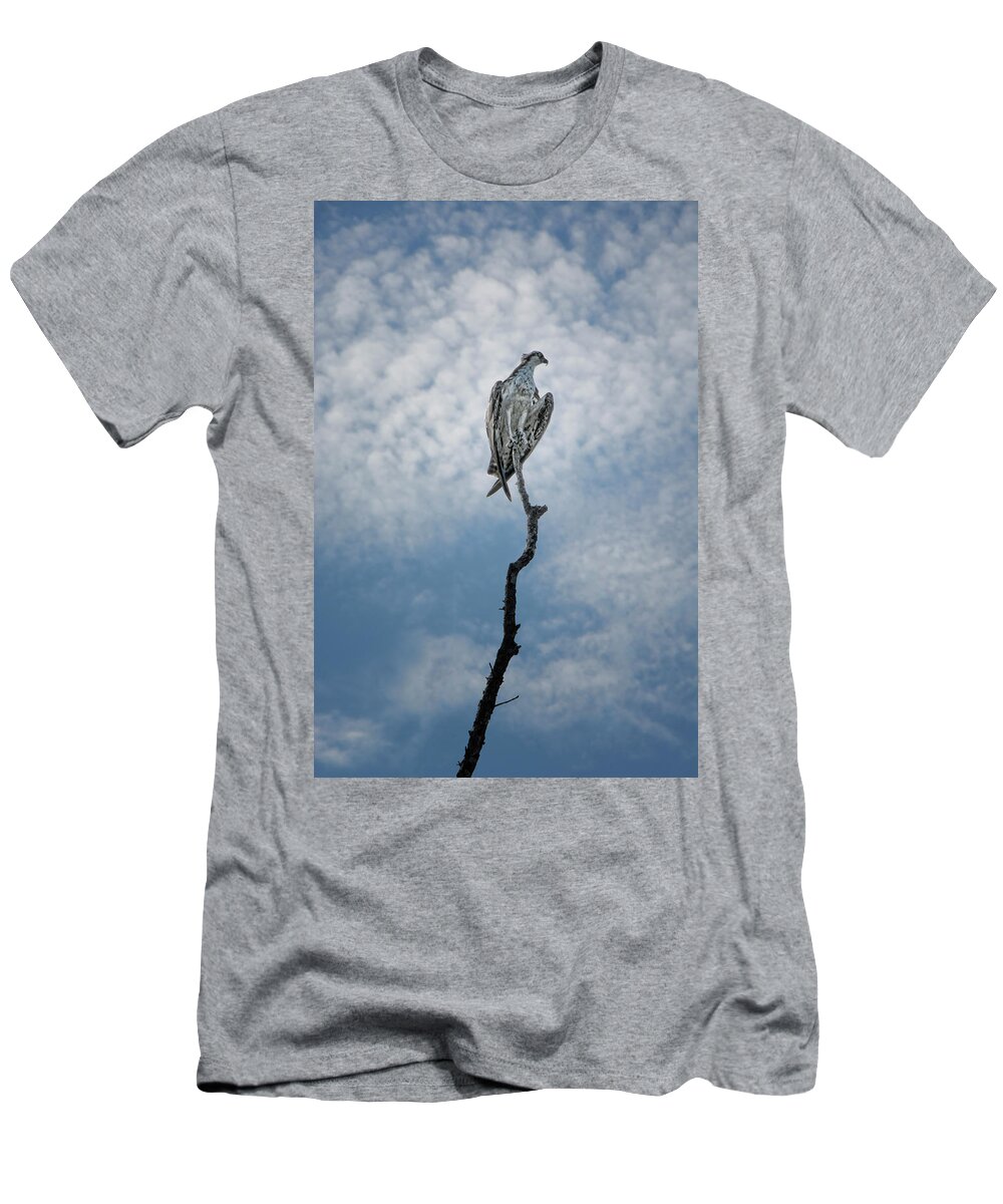 Osprey T-Shirt featuring the photograph Osprey on Top of the World by Mitch Spence