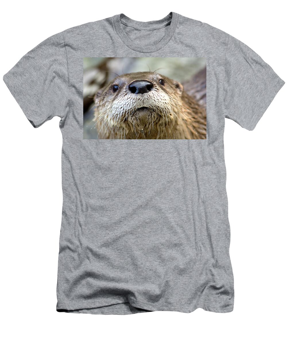 Otter T-Shirt featuring the photograph Otter Pop by David Stasiak