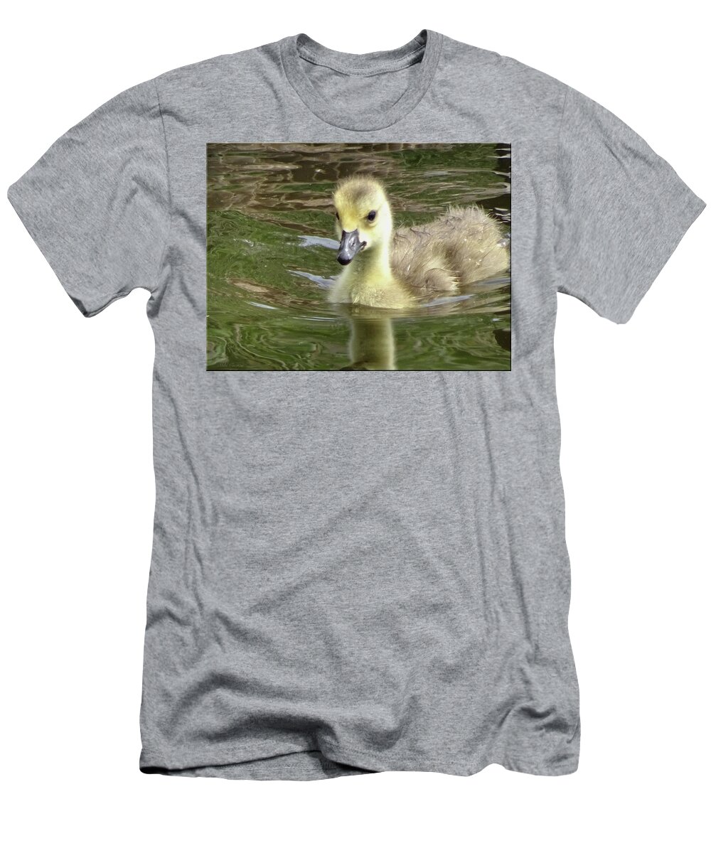 Fowl T-Shirt featuring the photograph Out for a swim by Mikki Cucuzzo