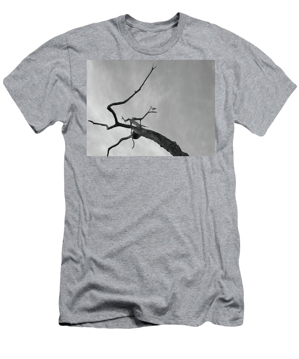 Birds T-Shirt featuring the photograph Egret out on a limb by Robert Meanor