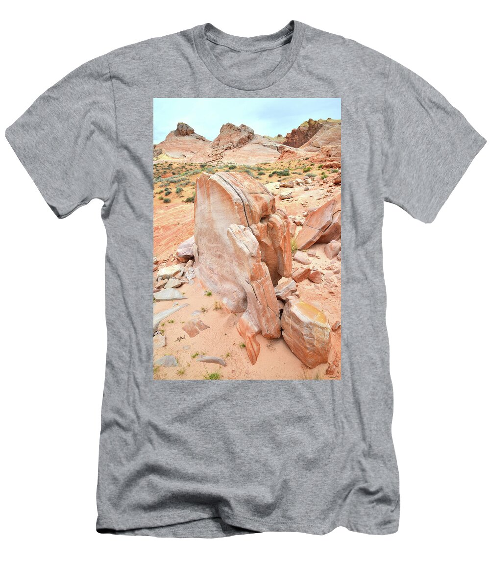Valley Of Fire State Park T-Shirt featuring the photograph Pages of Stone in Valley of Fire by Ray Mathis
