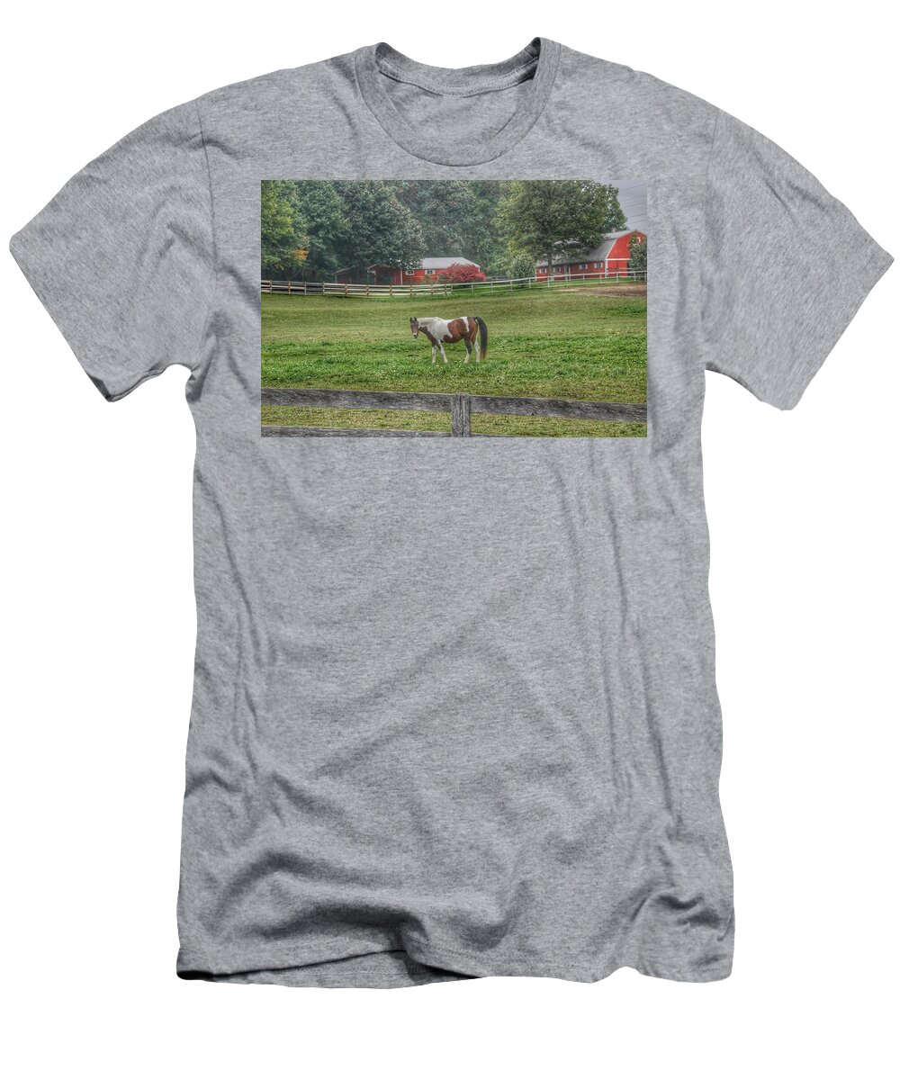 Horses T-Shirt featuring the photograph 1005 - Painted Pony in Pasture by Sheryl L Sutter
