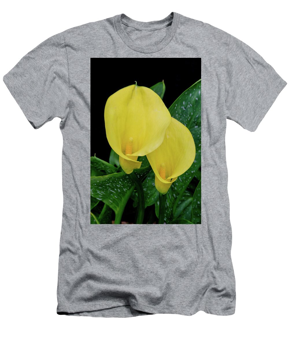 Calla T-Shirt featuring the photograph Paired Calla Lilies by Douglas Barnett