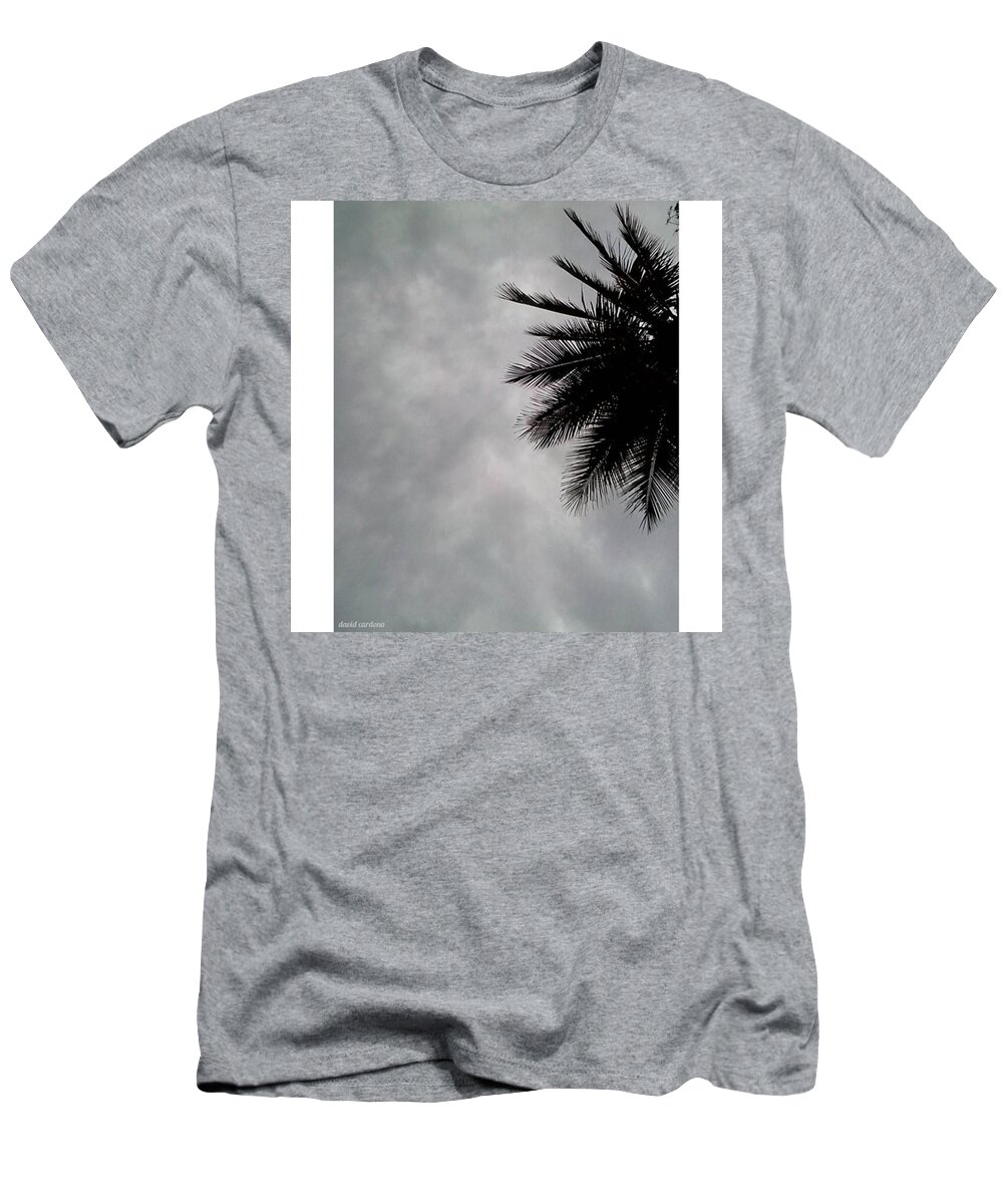 Mountains T-Shirt featuring the photograph Palm Tree by David Cardona