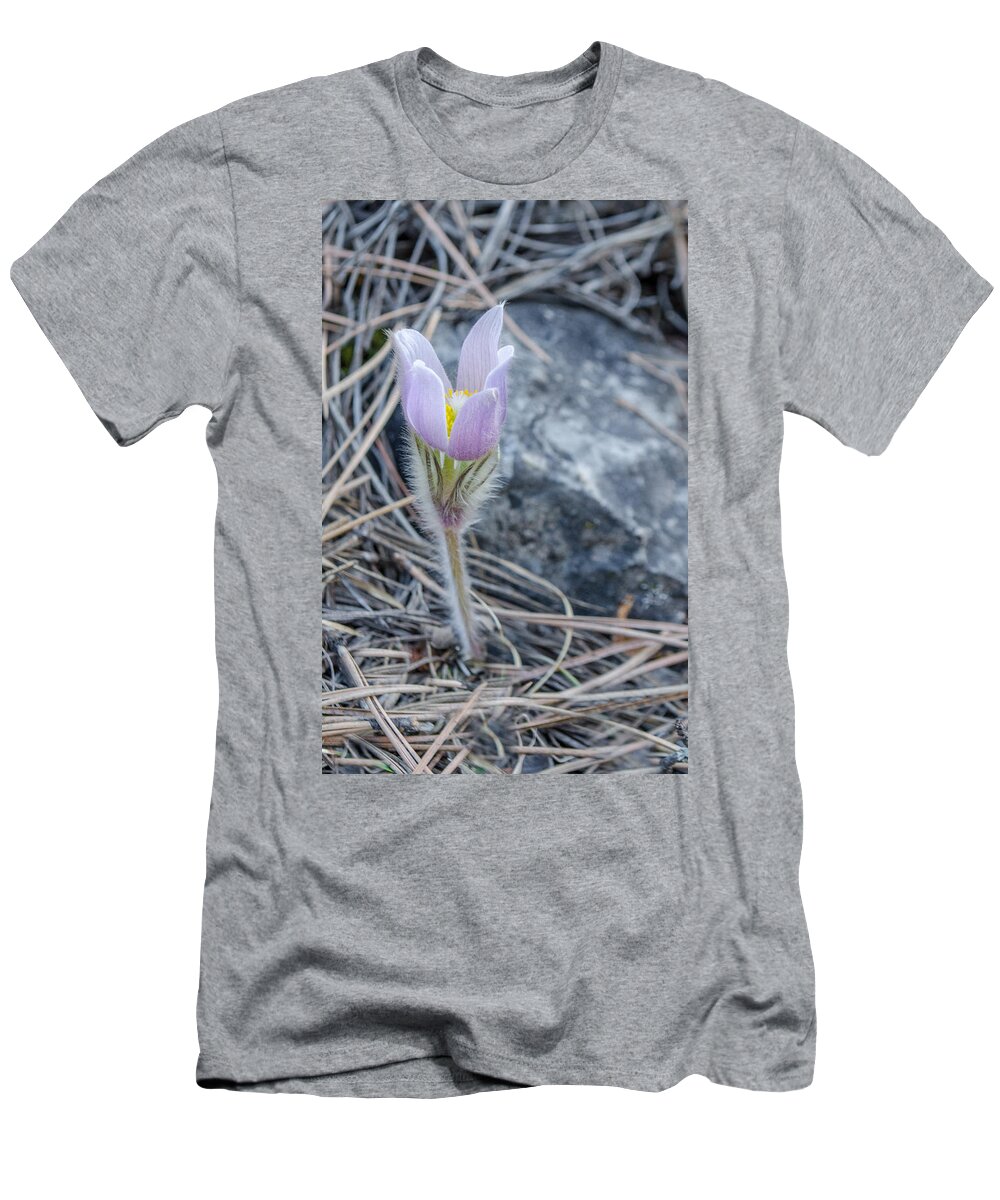 Pasqueflower T-Shirt featuring the photograph Pasque on the Rocks by Greni Graph