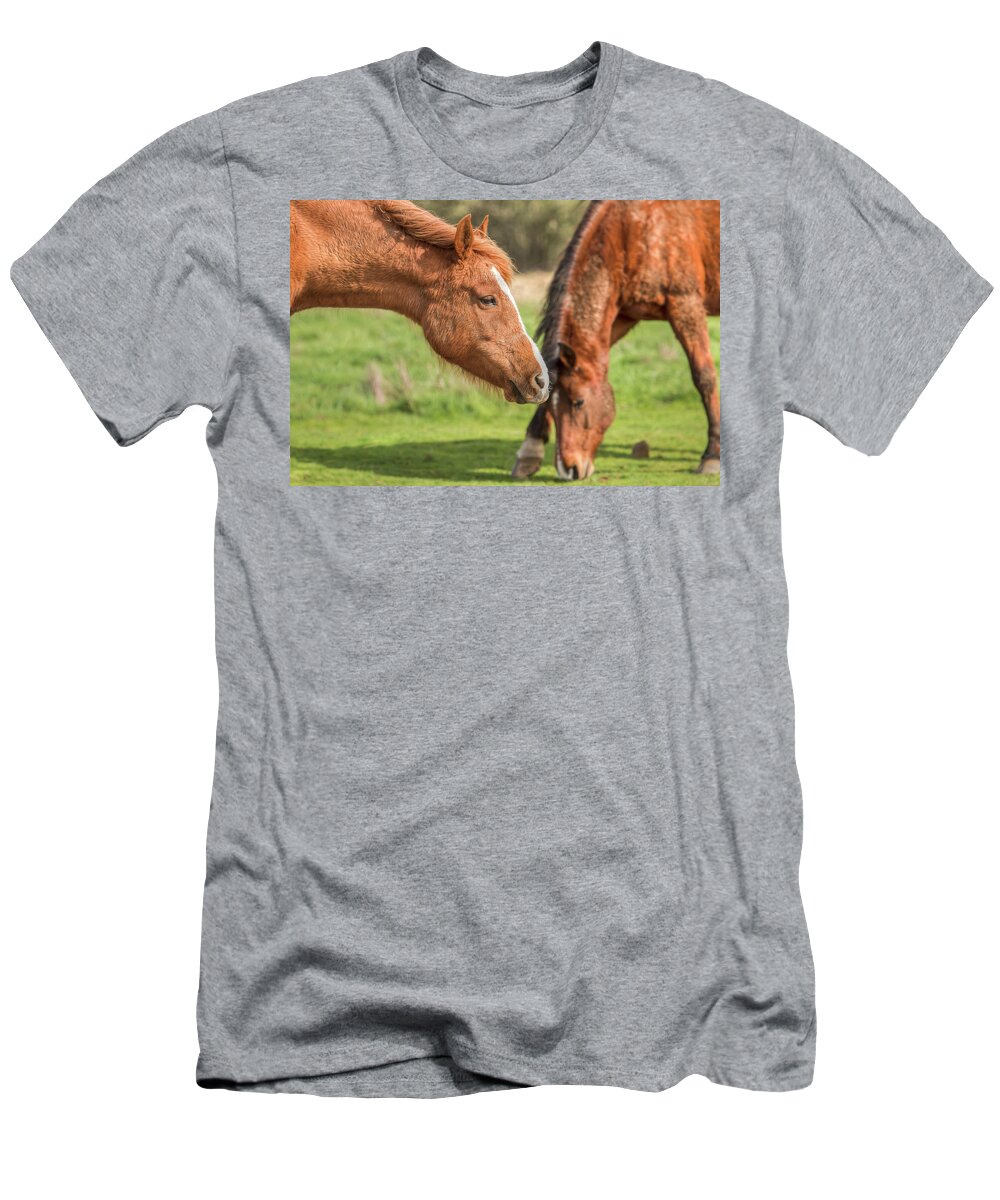 Pasture Pals T-Shirt featuring the photograph Pasture Pals by Kristina Rinell