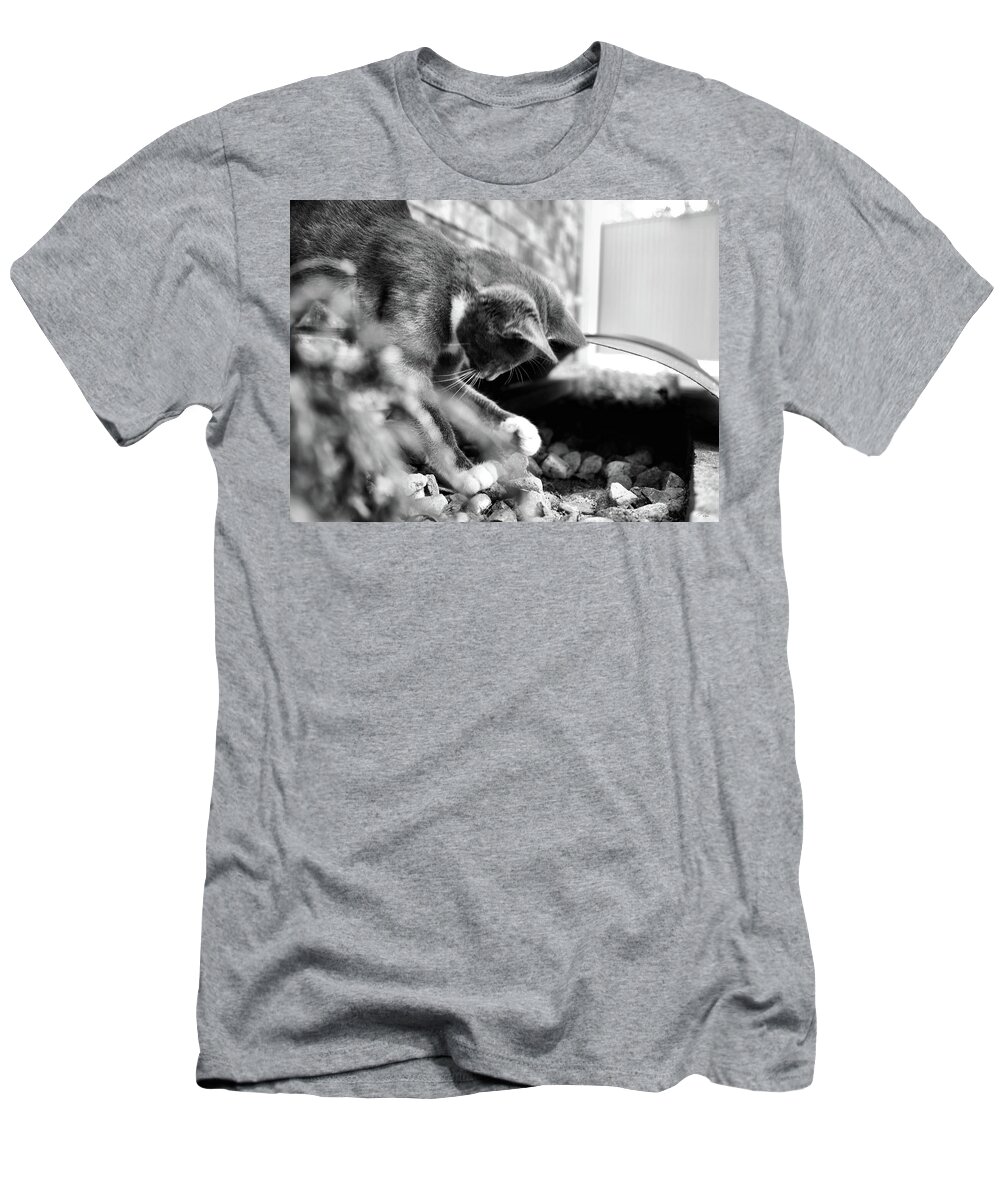 Animals T-Shirt featuring the photograph Patches explores 6 BnW by Michael Blaine