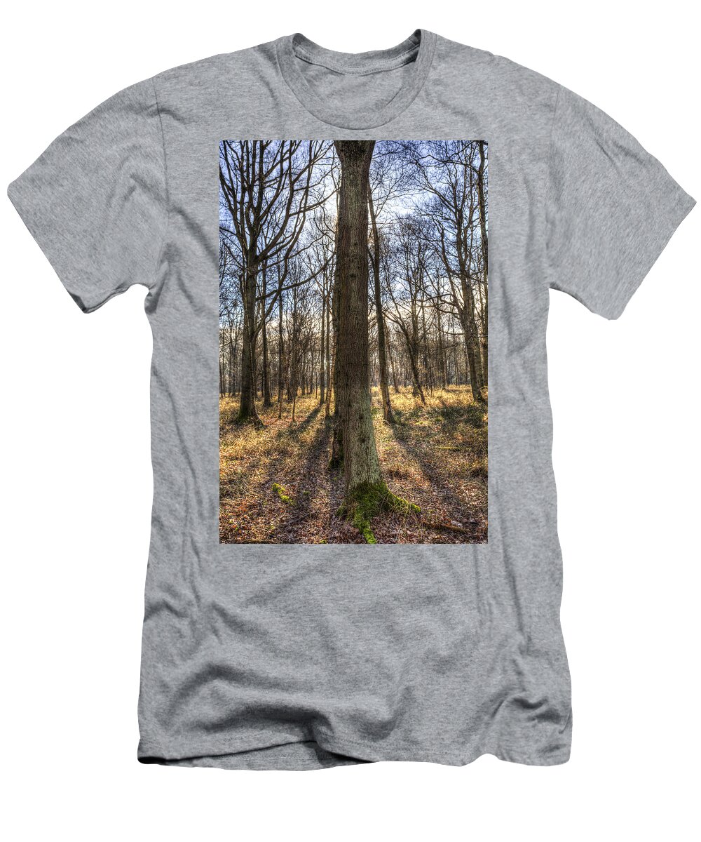 Forest T-Shirt featuring the photograph Peace In the Morning Forest by David Pyatt