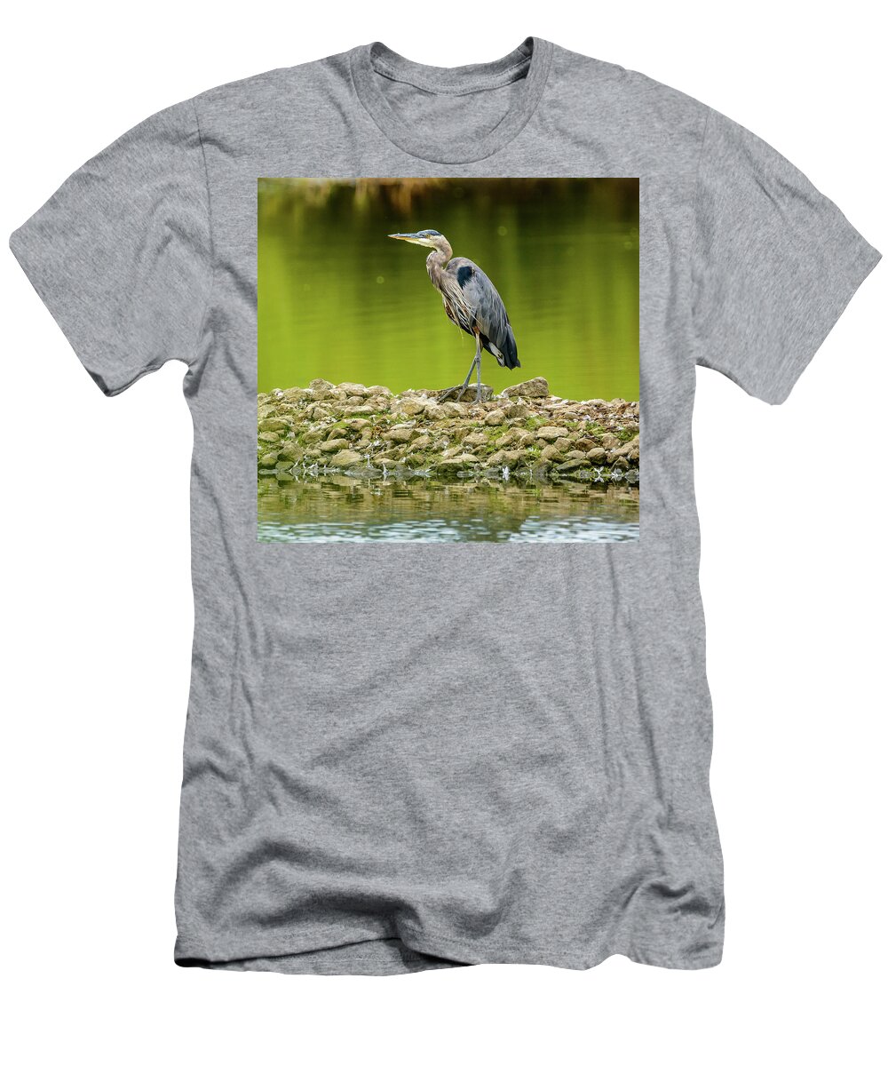 Blue Heron T-Shirt featuring the photograph Peaceful Heron by Jerry Cahill