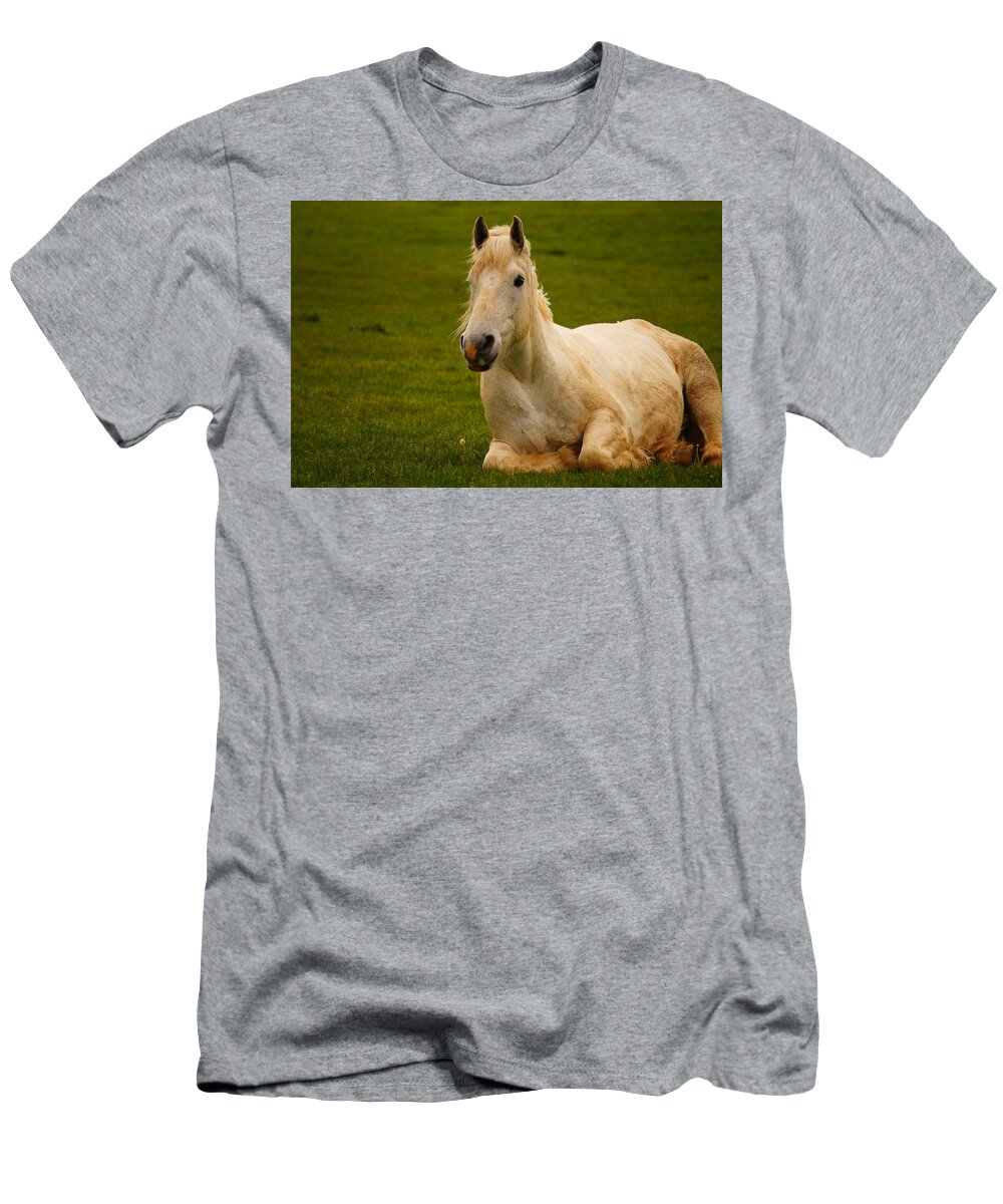 Horse T-Shirt featuring the photograph Peaceful Pasture by Beth Collins