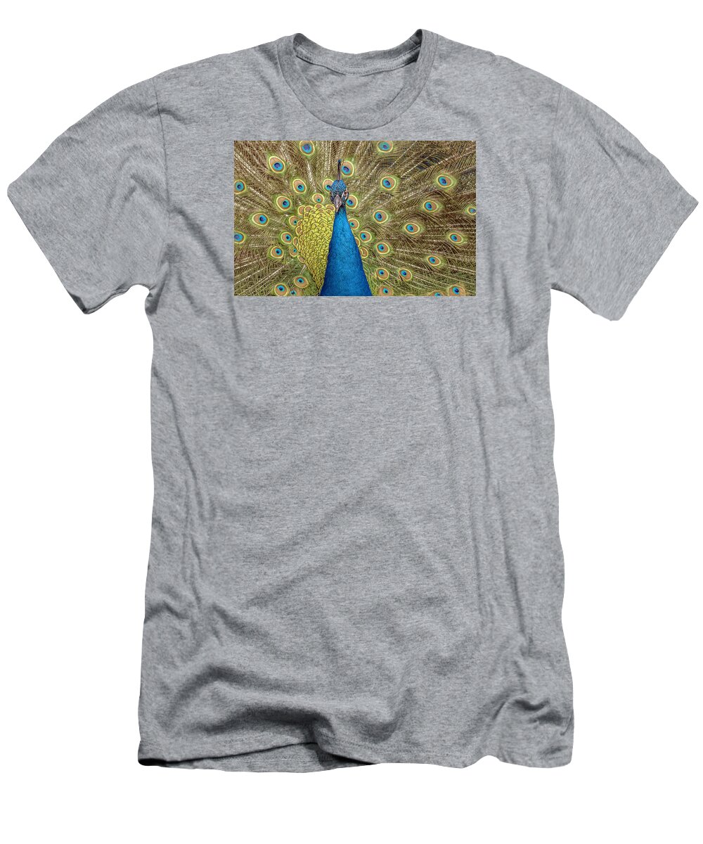 Peacock T-Shirt featuring the photograph Peacock Splendor by William Bitman