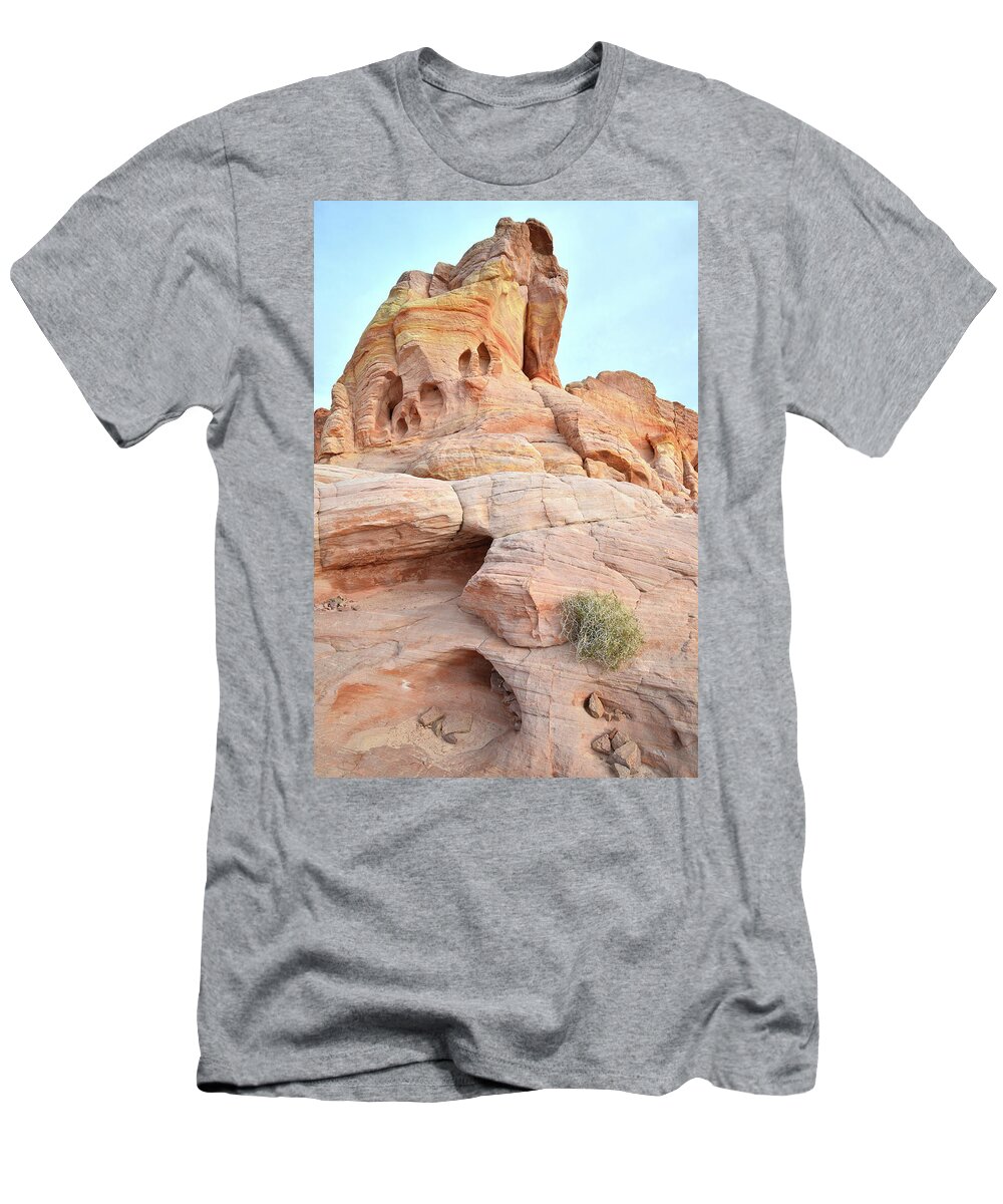 Valley Of Fire T-Shirt featuring the photograph Peak of Color in Valley of Fire by Ray Mathis