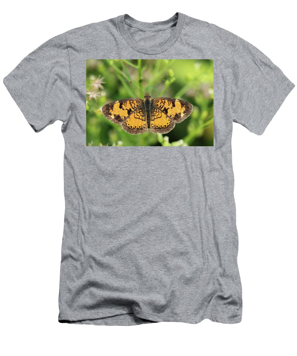 Pearl Crescent T-Shirt featuring the photograph Pearl Crescent by Jim Zablotny