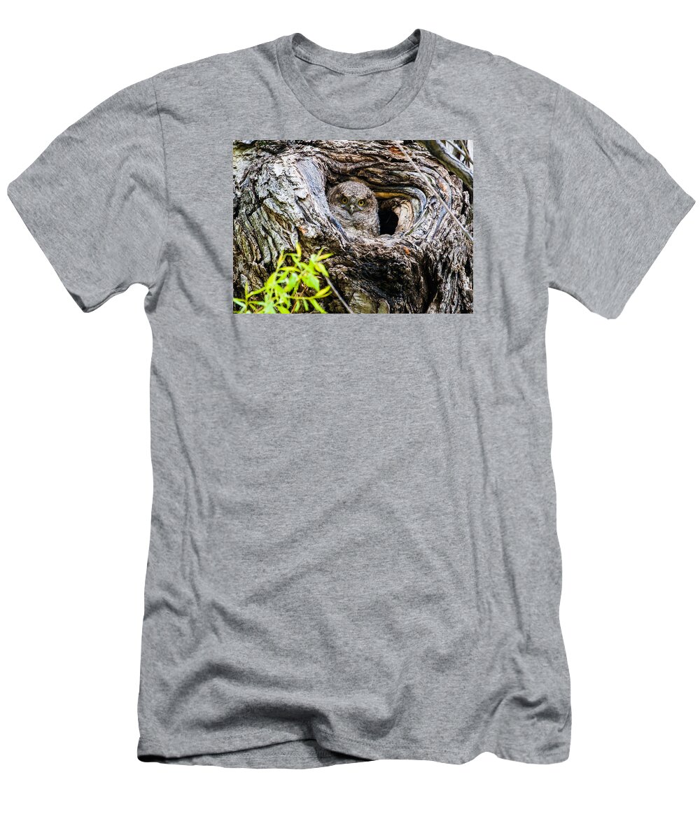 Eastern Screech Owl T-Shirt featuring the photograph Peek A Boo by Mindy Musick King