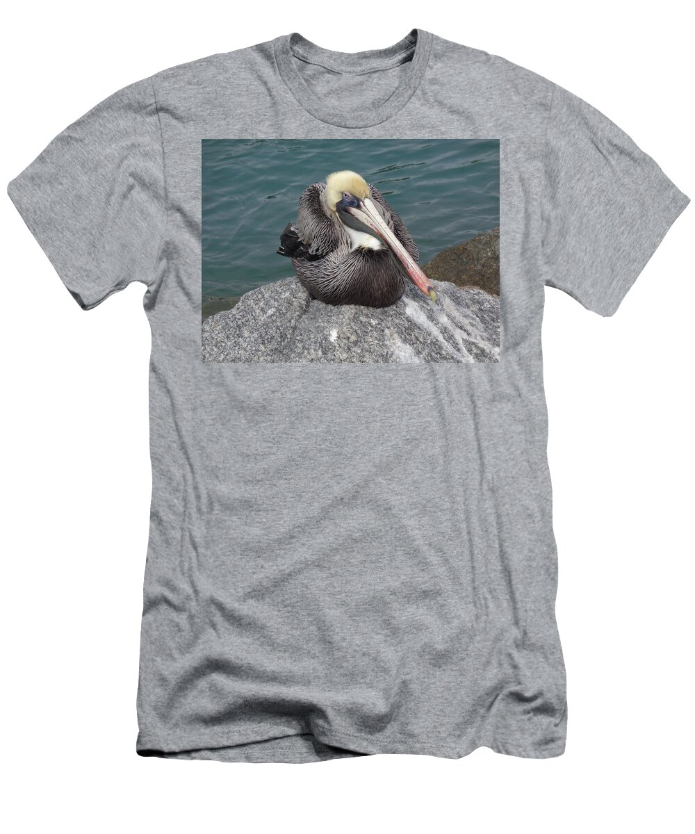 Pelican T-Shirt featuring the photograph Pelican by John Mathews