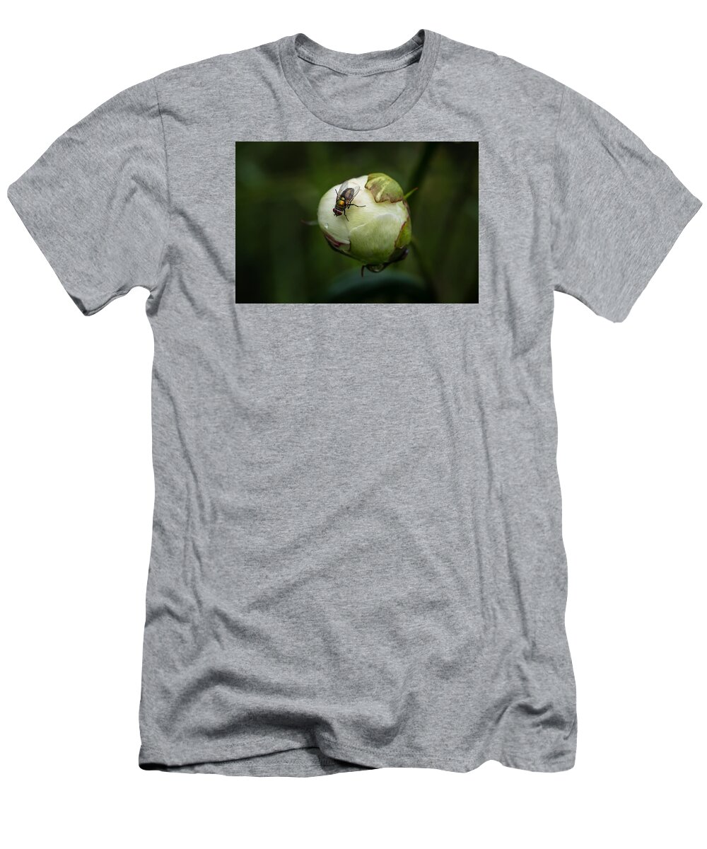 Peone T-Shirt featuring the photograph Peone bud with fly by Kevin Giannini