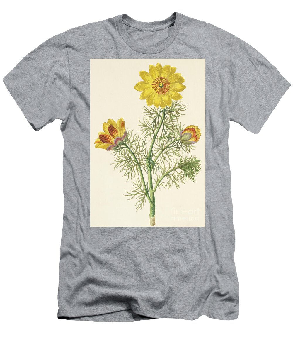 Perennial Adonis T-Shirt featuring the painting Perennial Adonis by Pierre Puvis de Chavannes