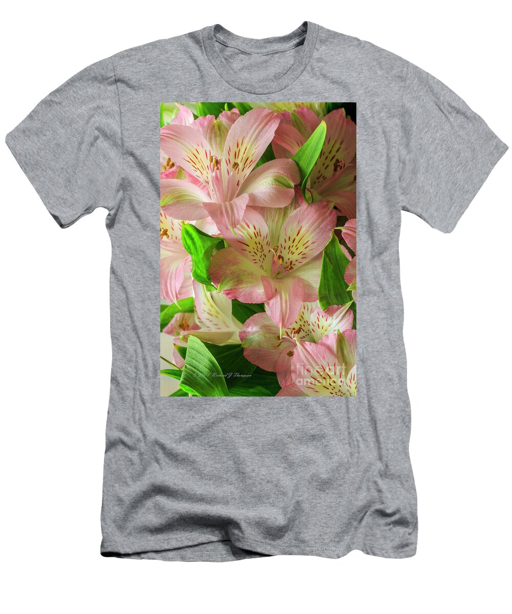 Peruvian Lilies T-Shirt featuring the photograph Peruvian Lilies In Bloom by Richard J Thompson