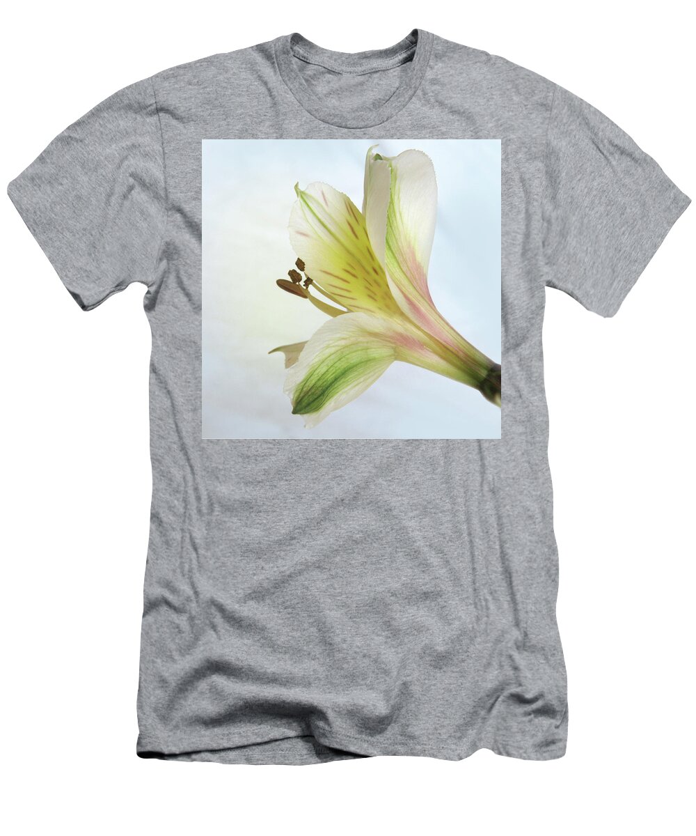 Alstroemeria T-Shirt featuring the photograph Peruvian Lily From Behind by David and Carol Kelly